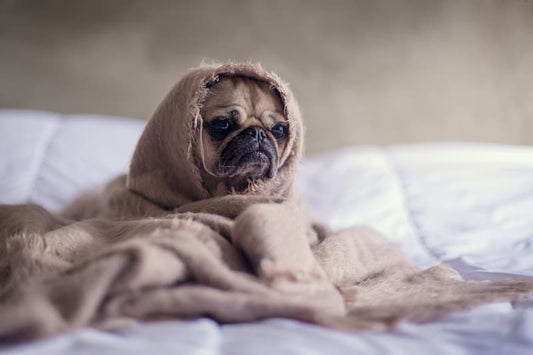 Der Zusammenhang zwischen Stress und Schlafproblemen