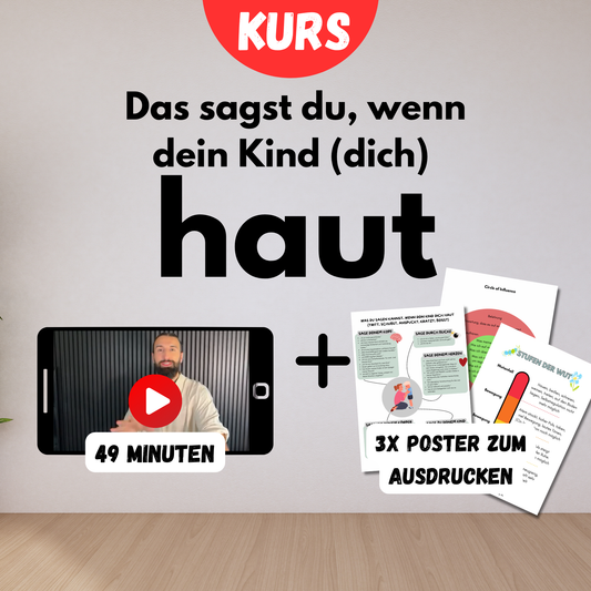 Kurs + Poster | Das sagst du, wenn dein Kind (dich) haut | 49min + 3x Poster mit allen Sätzen